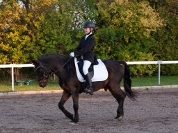 IMG_8079_web